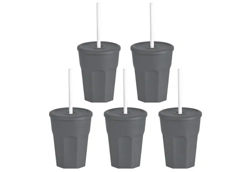 Engelland Becher Wiederverwendbare Plastikbecher mit Deckel und Strohhalm, 0,25 Liter, 5-tlg., Kunststoff, BPA-frei, spülmaschinengeeignet, lebensmittelecht, Temperaturbeständig