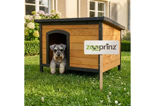 Zooprinz Hundehütte Carlo auf Holzfüßen von Zooprinz