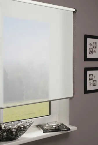 GARDINIA Seitenzugrollo Lichtdurchlässig 160x120 cm von GARDINIA