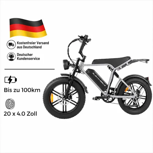PIXAR® 20-Zoll-E-Bike mit 48 V Akku und 250 W Motor – Grau