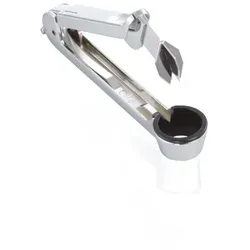 LEIFHEIT ProLine Pflaumenentsteiner