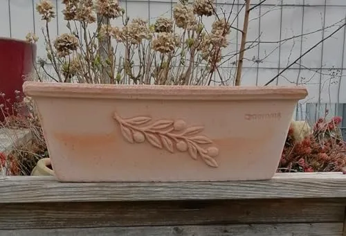 Blumentöpfe & Pflanzgefäße aus Terracotta von terracotta-toepfe-de