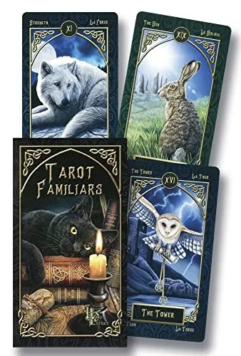 Tarot Familiars Merchandise - Buch über Tarot mit einzigartigen familiären Begleitern, ideal für spirituelle Entdecker und Tarot-Liebhaber.