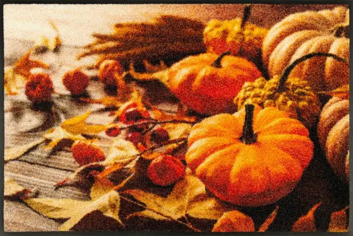 KLEEN-TEX Fußmatte wash + dry Pumpkin Glow 50x75 cm in orange von wash+dry by Kleen-Tex