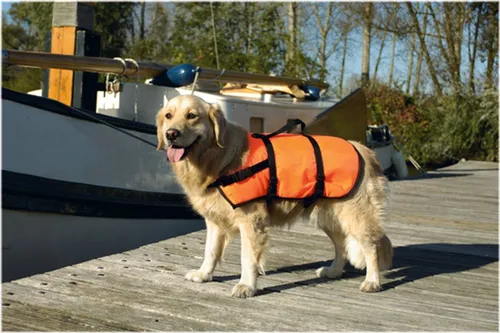Beeztees Sicherheitsweste/Schwimmweste - Hund - XS - 3-7Kg