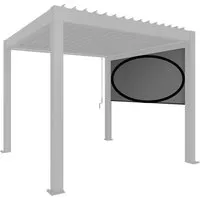 Biohort Sonnenschutzrollo Elektrisch 3,5 m Dunkelgrau-Metallic