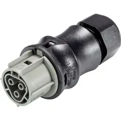 Wieland Electric 96.031.4154.3  Steckverbinder