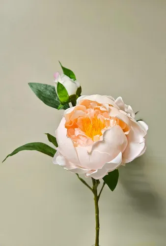 artplants Kunstblume Pfingstrose FYRFAR, halboffen, Hellrosa, 60cm