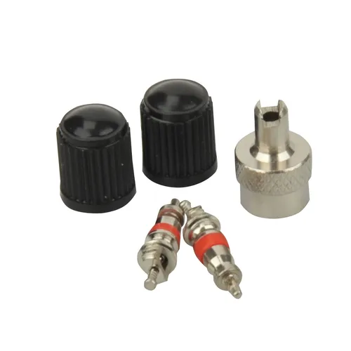 Fischer Auto Ventil / Ventileinsätze Auto/Schrader 2 Stück von Fischer Fahrrad