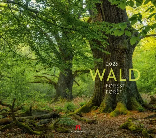 Wald Kalender 2026 - Natur-Kalender im großen Querformat mit stimmungsvollen Waldfotografien aus aller Welt. Hochwertige Verarbeitung und nachhaltige Produktion für Naturfreunde und Achtsamkeits-Interessierte.