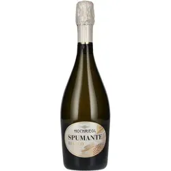Hochriegl Spumante Bianco 11% Vol. 0,75l