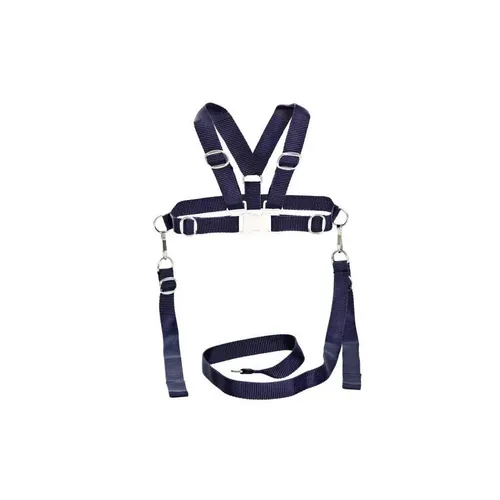 sunnybaby Kinderschutzgurt