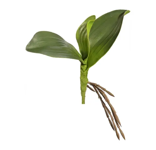 Kunstorchidee Künstl. ORCHIDEENLAUB 25cm. Mit 3 Orchideenblätter und Luftwurzeln., Gasper, Höhe 25.00 cm