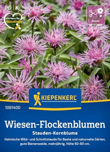 Wiesen- Flockenblume Stauden- Kornblume Heimische Wildstaude ca.50 Samen 1061400