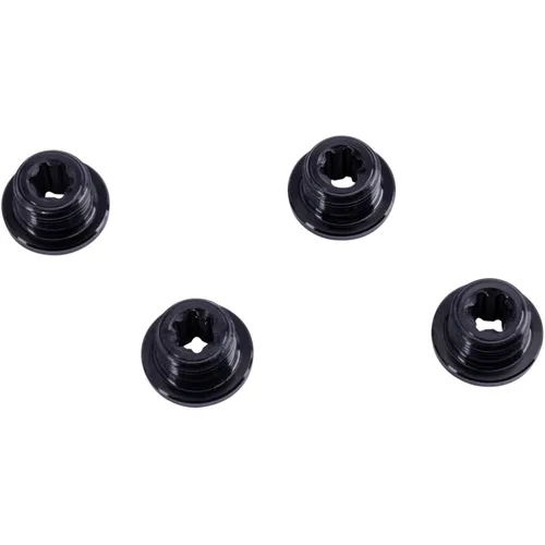 Campagnolo Ekar Schraube (30336241)