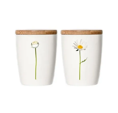 Simply Flowers Tasse Tasse Margerite (Klein)
