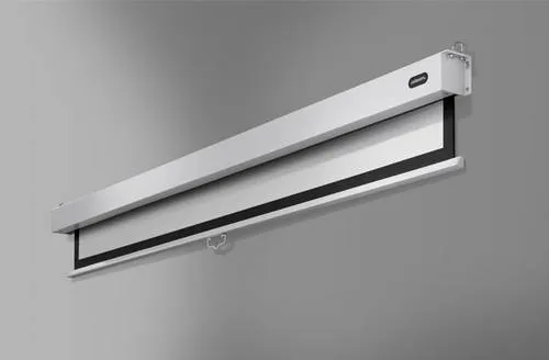 celexon Professional Plus Rollo-Leinwand 75