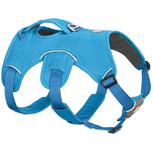 Ruffwear Web Master Hundegeschirr, Größe XXS, Blau - Robustes Brustgeschirr für Hunde, ideal für Miniaturrassen. Verstellbare Riemen sorgen für optimale Passform und Bewegungsfreiheit beim Wandern und Klettern.