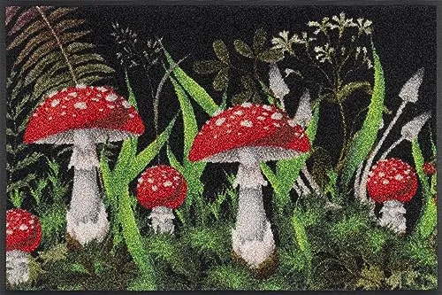 wash+dry Fußmatte Paddehatte 50x75cm - Hochwertige Fußmatte für innen und überdachte Außenbereiche, waschbar bis 60°C, rutschfest und trittschalldämmend – ideal für Allergiker und Tierbesitzer.