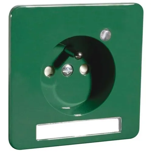 Peha Steckdose mit Erdungsstift