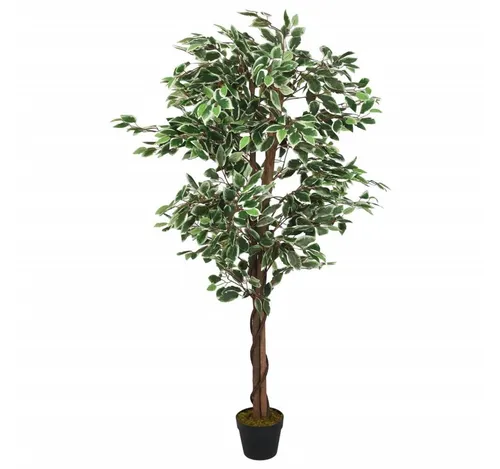 Kunstpflanze Künstlicher Ficusbaum 80 cm Grün - Dekorative Kunstpflanze für stilvolle Innenräume, mit stabilen Holzstämmen und einem modernen Kunststofftopf. Ideal für pflegeleichte Raumgestaltung.