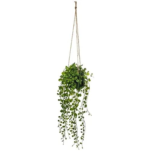 Atmosphera Créateur d'intérieur Kunstpflanze 82 cm - Kunstpflanze für Innenräume, pflegeleicht und perfekt zur Verschönerung jedes Raumes.