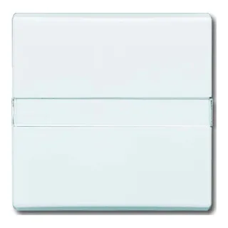 Busch-Jaeger Wippe cws Aus,Wechsel,m.Beschr 2106 N-32