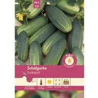 Pabst Keimkraft Schälgurke Früh & Mittellang Delikateß Saatgut