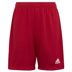 Shorts Rot von adidas