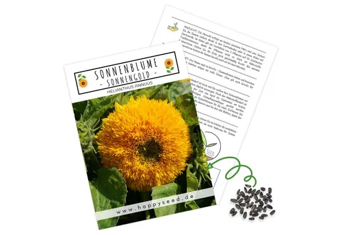 HappySeed Blumensamen Sonnenblumen Samen - Helianthus annuus (Sonnengold), Sonnenblumen