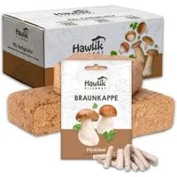 Hawlik Pilzbrut in braun von Hawlik Pilzbrut