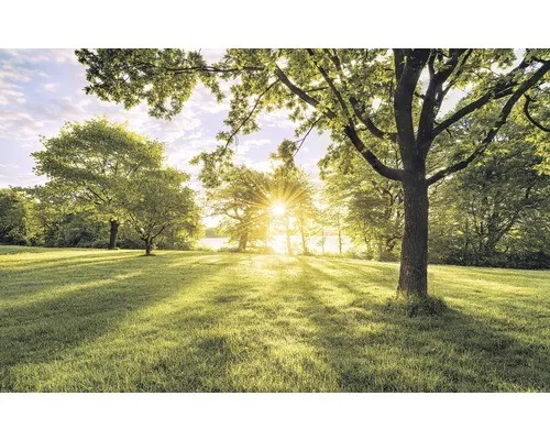 Komar Vliestapete Digitaldruck Vlies von Komar