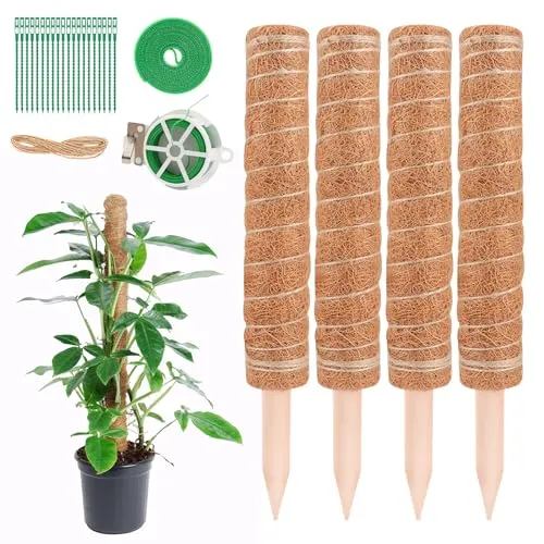 Stück 40CM Moosstab Monstera, Pflanzstab Kokos Monstera, Monstera kokosstab, Monstera Rankhilfe für Pflanzen, Pflanzenstütze, Rankhilfe Pflanzstab, für Kletterpflanzen Natürlicher Kokosstab 4