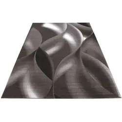 Novel Webteppich Plus 8008, Braun, Weiß - 200x290 cm - Teppiche, Moderner Webteppich, schmutzabweisend und pflegeleicht, ideal für Hausstauballergiker, geeignet für Fußbodenheizung, sorgt für ein gemütliches Ambiente.