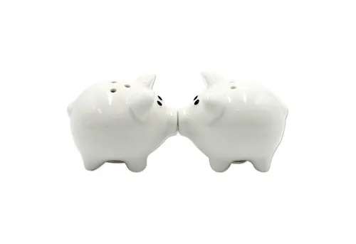 Dekohelden24 Salz- / Pfefferstreuer Salz -und Pfefferstreuer Set weiß aus Poly, Motiv: Schweine, magnetisch, Größe L/B/H: ca. 6 x 4 x 5 cm