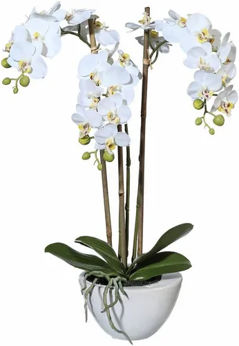 Kunstpflanze Mini Orchidee, Creativ green, Höhe 51 cm - Die dekorative Kunstpflanze »Mini Orchidee« bringt Farbe und Eleganz in Ihr Zuhause. Sie ist pflegeleicht, ideal für jedes Wohnkonzept und begeistert mit ihrer naturgetreuen Optik in einem stilvollen Keramiktopf.