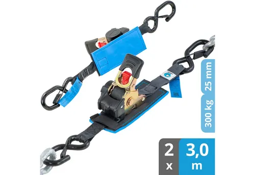valonic Spanngurt Automatik Ratsche SG-020-30 (2 Stück, 3m) - RACOON - Spanngurte für sicheres Verzurren, langlebige Automatik-Ratsche und ideal für Transport und Lagerung.