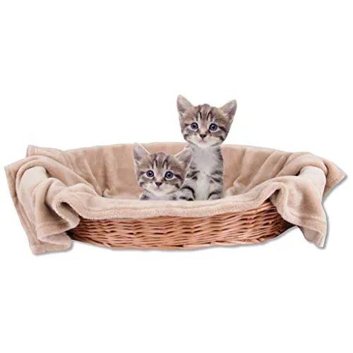 Bestlivings Haustierdecke Katzendecke Kuscheldecke Tierdecke, angenehm und super weich in vielen erhältlich (70x100 cm/beige - Hellbraun)