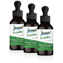 Liposomale Grüntee Tropfen - 1600mg hochdosiert - Hochdosierte Grüntee Tropfen mit 1600 mg natürlichem Grüntee pro Tagesdosis. Ideal für die tägliche Unterstützung und vielseitig anwendbar in Getränken. Enthält 48.000 mg pro Flasche.