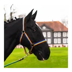 Pferdelinis Halfter Halfter für Pferde 2-Fach verstellbar an Kinnriemen und Genickstück, zweifach verstellbar bunt Kaltblut