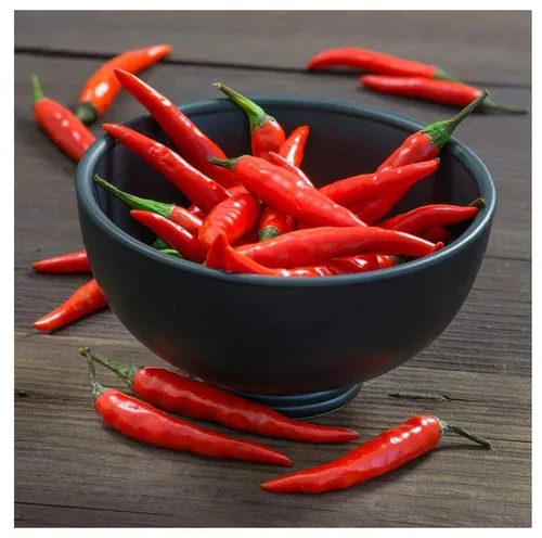 Levandeo® Glasbild, levandeo Glasbild 30x30cm Wandbild Glas Chili Peperoni Küche Deko