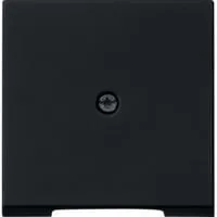 Abdeckung für Schnurableitung und Fernmeldeverbinderdose matt lackiert schwarz, Retail