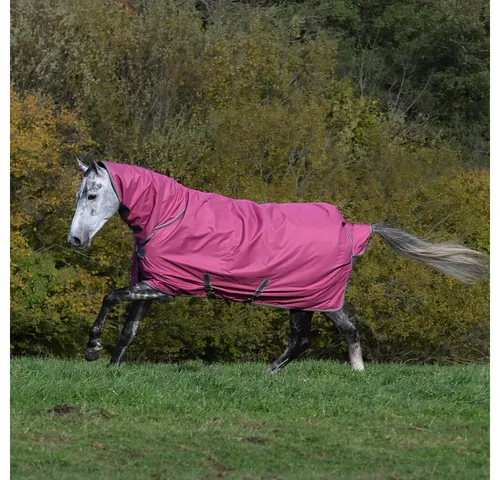 Bucas Pferde-Thermodecke Bucas Freedom Turnout Medium Full Neck 150/150g