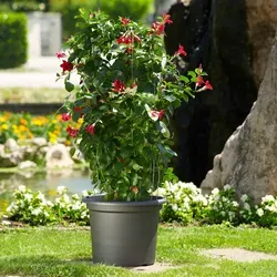 euro3plast Pflanzkübel GEO Ø 45 cm anthrazit