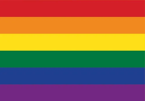 Grafika Art Puzzle Puzzle Pride Edition, Puzzleteile