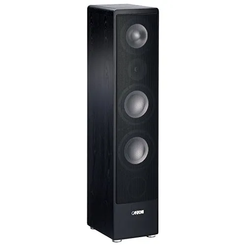 Canton Ergo 690 DC Standlautsprecher - 3-Wege Bassreflex-System mit 170/320 Watt, ideal für hochwertigen Sound. Vergoldetes Bi-Wiring-/Bi-Amping-Anschlussfeld für optimale Klangqualität.