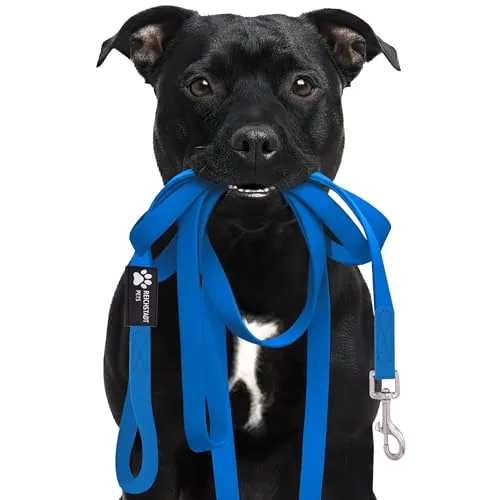 Reichstadt Pets Robuste PVC Hundeleine für Hunde – wasserabweisend, rutschfeste Oberfläche | 360° Edelstahl-Karabiner, pflegeleicht & wetterfest 25RSP086 Blue 5m