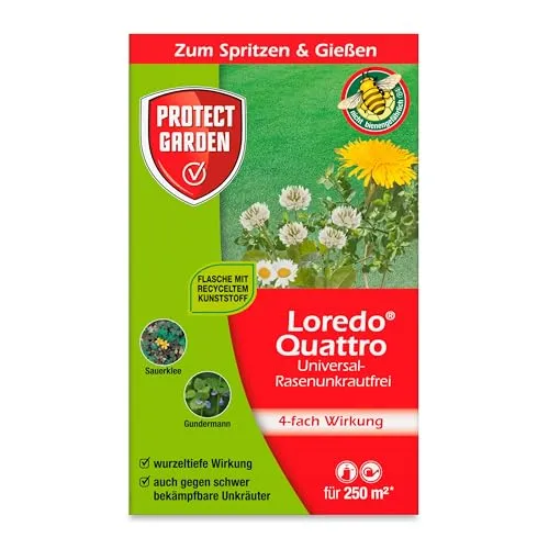 PROTECT GARDEN Loredo Quattro Rasen-Unkrautvernichter 250 ml - Dünger für effektive Unkrautbekämpfung: Bekämpft über 40 Unkrautarten mit der 4-fach Wirkung und ist rasenverträglich, ideal für einen gesunden, unkrautfreien Rasen.