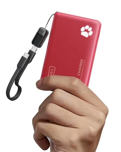 INIU Power Bank 10.000mAh mit 45W Schnellladung von INIU
