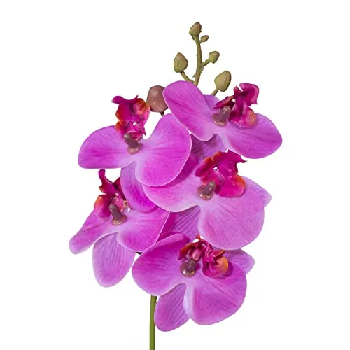 creativ home Künstliche Orchidee Orchideenzweig Kunstblume Phalaenopsis mit Stiel 27cm. Real Touch Oberfläche. (Lila)